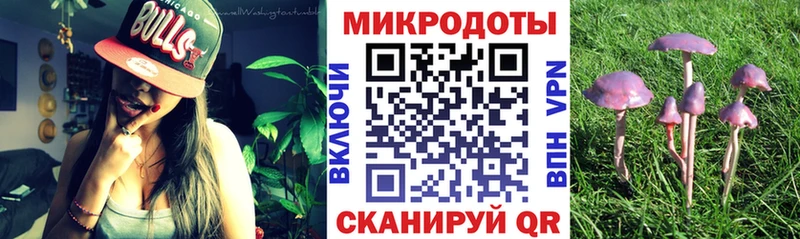 Псилоцибиновые грибы прущие грибы  Купить закладки  Канск 